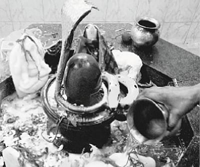 Encircled by the curse of the serpent