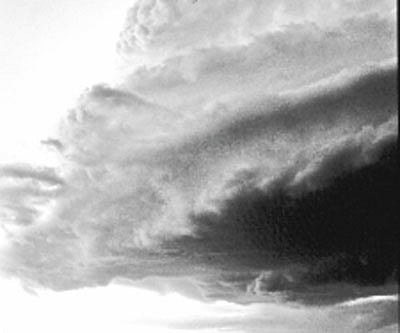 What the forces of nature tell the seeker