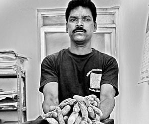 Seized 120 kg of dried sea cucumber in Chennai.