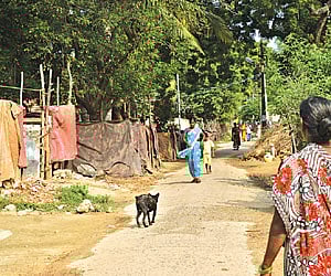 A lane in the village | Express Photo