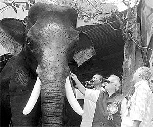 Character artistes overtake hero