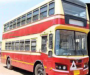 Double joys of bus ride