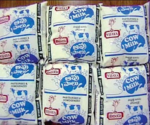 Telangana government may raise Vijaya Dairy milk procurement price by Rs 3