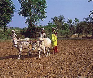 Farmers in the area allege their land is being sold to private firms using fake registries.