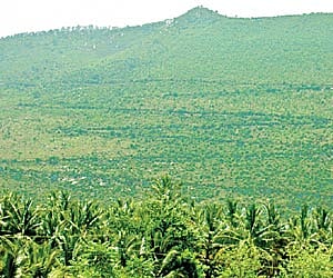 The Yelagiri hills, which was once covered with greenery is fast giving way to development