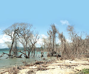 Upheaval of the natural world