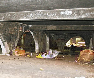 A scene at the Koyambedu flower market. EPS