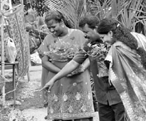 Priya S Dixit and Prabha S Dixit, disciples of Padmasri Sudharani Raghupathy, together presented Tris Tridha in Chennai. EPS