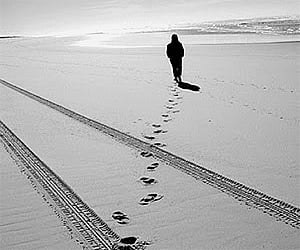 'Vedas essental for moral integrity'