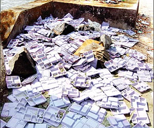 Plastic plates littered on the road |FILE PHOTO