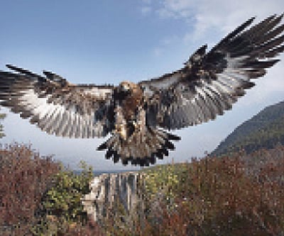 The truth about your karma