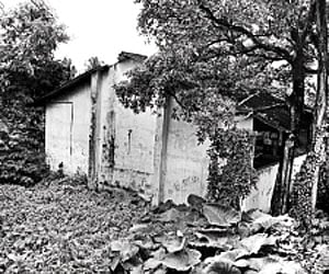 The abandoned state government property at Moulana Azad Road, Mattanchery