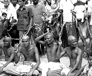 Sooriyur residents with tonsured heads protesting against the government regulations on Jallikattu