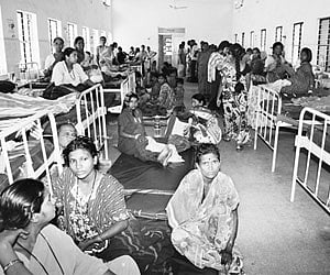 This century-old bullock cart fetched Rs 2 lakh