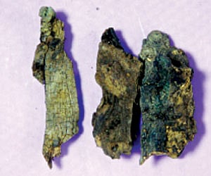 Pieces of wood from the nux vomica tree at Kummattikkavu on the banks of Bharathappuzha river - Rajeev Prasad