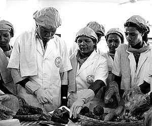 The neighbour’s best kept secret