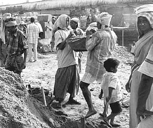 Revive the welfare boards