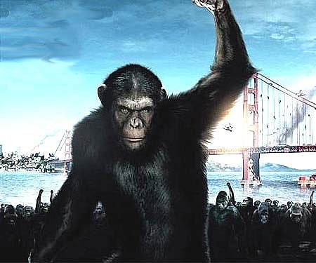 The poster of 'The Rise of the Planet of the Apes'.