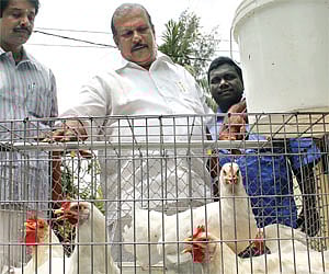 Chief Whip P C George watching hens being distributed to the members of the Vijayapuram Social Service Society members at Amalanilayam in Kottayam.