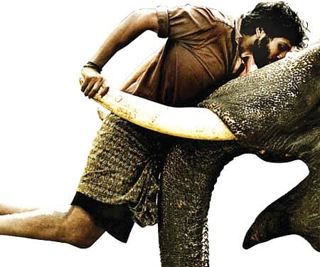 ‘Await a visual treat’