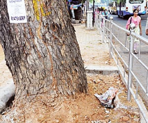 The Silver Screen Jinx