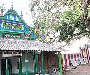 Learn from Thoothukudi on communal amity