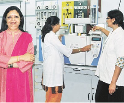 Sway the Khau Suey way