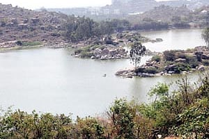 A youth points to the garbage lying along the bank of Madipakkam Lake.
