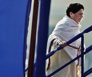 The plates that could sink Maya’s elephant