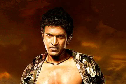 Sandalwood progress report of first half of 2012