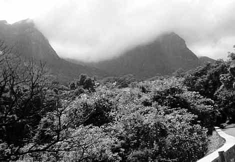 UN awards World Heritage Status to Western Ghats