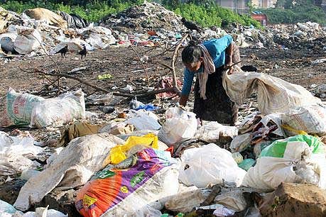 Government dusts off waste baling plan