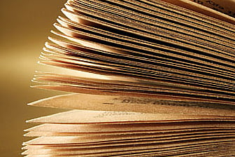 Short-term courses to scale up growth