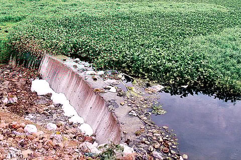 Forget me not: Sarakki lake cries for attention