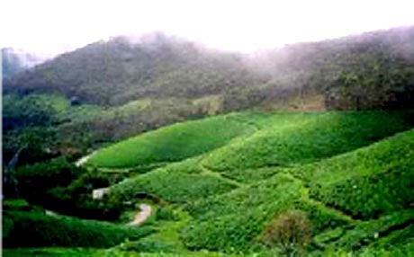 KSBB to launch sustainable development scheme for CHR