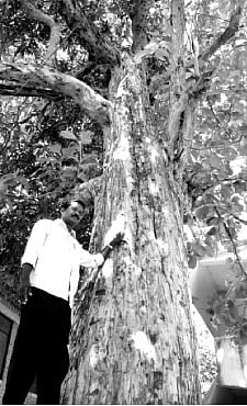 A school with its very own history lessons