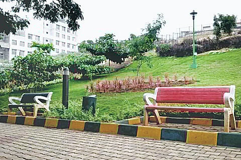 Hillock turned into beautiful park