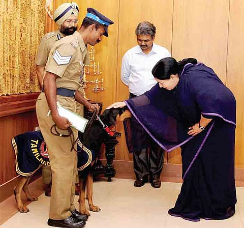 Nemesis of terrorists is Durga for the cops