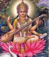 The rhythm of the universe