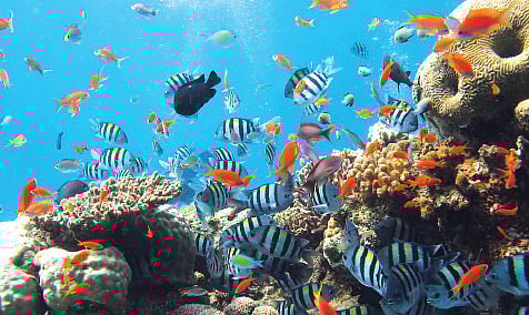 11 km Deep, the Ocean is Still a Noisy Place