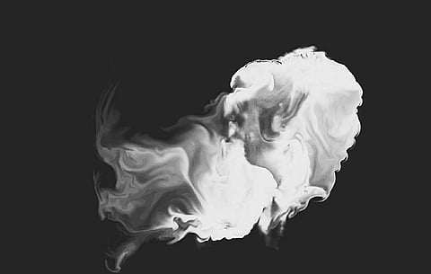 The last days of Shri Ramana Maharshi