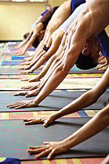 The deadly fitness solution