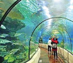 Game zone at Lumbini park