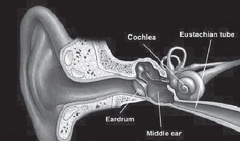Miraculous healing for hearing problems