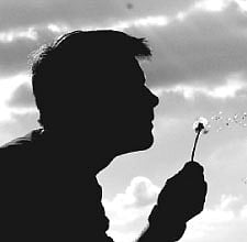 The Mind and It's Samadhi