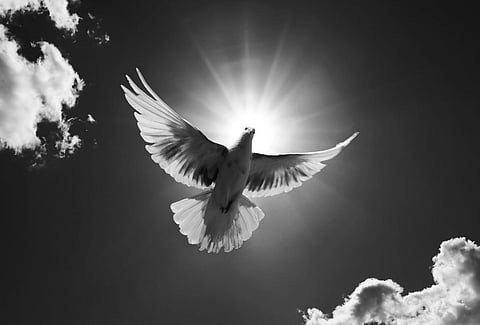 'When you are hurt from within, you hurt others near you'