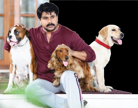 A Circus of Fun and Frolic