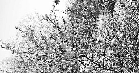 Like A Child, A Yogi Enjoys Eternal Happiness