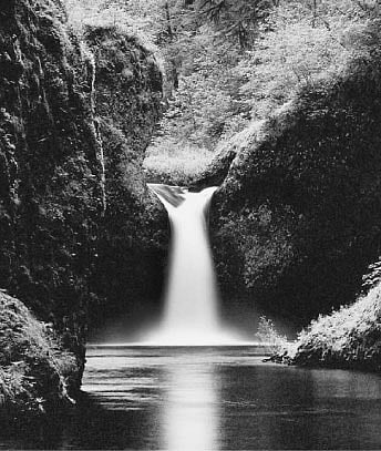 Evolution presupposes involution