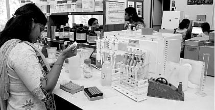 In a Tropical Plant Lab